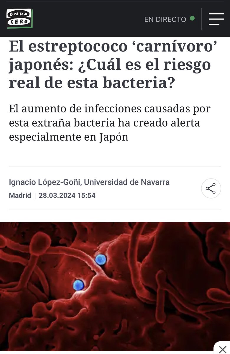 manruipa's tweet photo. 🔍🧫¿𝐐𝐮𝐞́ 𝐞𝐬 𝐞𝐥 𝐞𝐬𝐭𝐫𝐞𝐩𝐭𝐨𝐜𝐨𝐜𝐨 𝐀 𝐣𝐚𝐩𝐨𝐧𝐞́𝐬 𝐲 𝐩𝐨𝐫 𝐪𝐮𝐞́ 𝐞𝐬𝐭𝐚́𝐧 𝐚𝐮𝐦𝐞𝐧𝐭𝐚𝐧𝐝𝐨 𝐥𝐨𝐬 𝐜𝐚𝐬𝐨𝐬 𝐝𝐞 𝐜𝐨𝐢𝐧𝐟𝐞𝐜𝐜𝐢𝐨́𝐧?
El estreptococo A, específicamente Streptococcus pyogenes, es altamente contagioso y puede causar desde enfermedades leves como faringitis hasta complicaciones graves como el síndrome del shock tóxico y la fascitis necrosante.
La mayoría de las infecciones por S. pyogenes son leves pero actualmente está habiendo un repunte en el número de casos.

El culpable podría ser la infección previa con otro patógeno como un virus. Aquí aparece un término llamado coinfeccion. La coinfección se refiere a la presencia simultánea de dos o más agentes infecciosos, como bacterias y virus, en un mismo huésped. Las infecciones virales pueden debilitar el sistema inmunológico, lo que facilita la invasión bacteriana secundaria. Además, los virus pueden alterar el ambiente en las vías respiratorias, lo que favorece el crecimiento bacteriano. Esto crea un terreno propicio para que bacterias como S. pyogenes y otros patógenos oportunistas se propaguen y causen infecciones secundarias más graves.

🤔¿𝐏𝐨𝐫 𝐪𝐮𝐞́ 𝐨𝐜𝐮𝐫𝐫𝐞𝐧 𝐞𝐬𝐭𝐚𝐬 𝐜𝐨𝐢𝐧𝐟𝐞𝐜𝐜𝐢𝐨𝐧𝐞𝐬?
Cuando el sistema inmune está luchando contra una infección viral, experimenta un período de inmunosupresión temporal, lo que disminuye la vigilancia de patógenos latentes y aumenta el riesgo de coinfecciones con otros patógenos. Por ejemplo, muchas personas experimentan la reaparición de lesiones labiales causadas por el herpes simple durante infecciones con otros patógenos, debido a la disminución de la vigilancia inmunológica durante el período de inmunosupresión. Esto ilustra cómo la presencia de una infección viral puede predisponer a la reactivación de patógenos latentes, como el herpes labial, aumentando el riesgo de coinfecciones.

Con la aparición recurrente de nuevas cepas de SARS-CoV-2 tras la pandemia de COVID-19, junto con la circulación habitual de virus como los resfriados comunes y la gripe A y B, el número de infecciones por persona por año aumenta significativamente, aumentando así el riesgo de coinfecciones. En resumen, cuanto más rápido se sucedan las infecciones virales, mayor será el riesgo de agotamiento inmunológico y la aparición de coinfecciones. Además, el agotamiento continuo de las células T debido a infecciones repetidas puede conducir a casos más severos de enfermedades. 🦠📈

Este agotamiento continuo de células T pot reinfecciones con SARS-COV-2 puede aumentar el riesgo de desarrollar también Long COVID

¿𝐐𝐮𝐞́ 𝐬𝐞 𝐩𝐮𝐞𝐝𝐞 𝐡𝐚𝐜𝐞𝐫 𝐩𝐚𝐫𝐚 𝐩𝐫𝐞𝐯𝐞𝐧𝐢𝐫 𝐥𝐚𝐬 𝐜𝐨𝐢𝐧𝐟𝐞𝐜𝐜𝐢𝐨𝐧𝐞𝐬? 🧼👩‍⚕️
Para prevenir las coinfecciones, es importante mantener una buena higiene, como lavarse las manos regularmente, y utilizar mascarillas, especialmente en lugares concurridos para evitar la exposición a virus y patógenos. Además, adoptar medidas como el uso de mascarillas cuando se está enfermo, como se practica en otras culturas, podría ser beneficioso para prevenir la propagación de enfermedades (aunque esto es casi imposible 😅). Por lo demás, seguir con tu día a día normal. 

#salud #Medicina 
#COVIDpersistente #microE2324