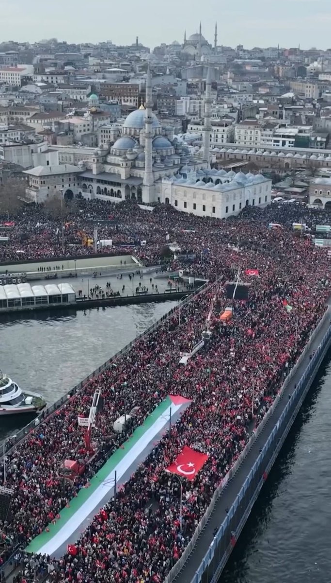 Incredible! Istanbul stands with Palestine 🇹🇷🇵🇸