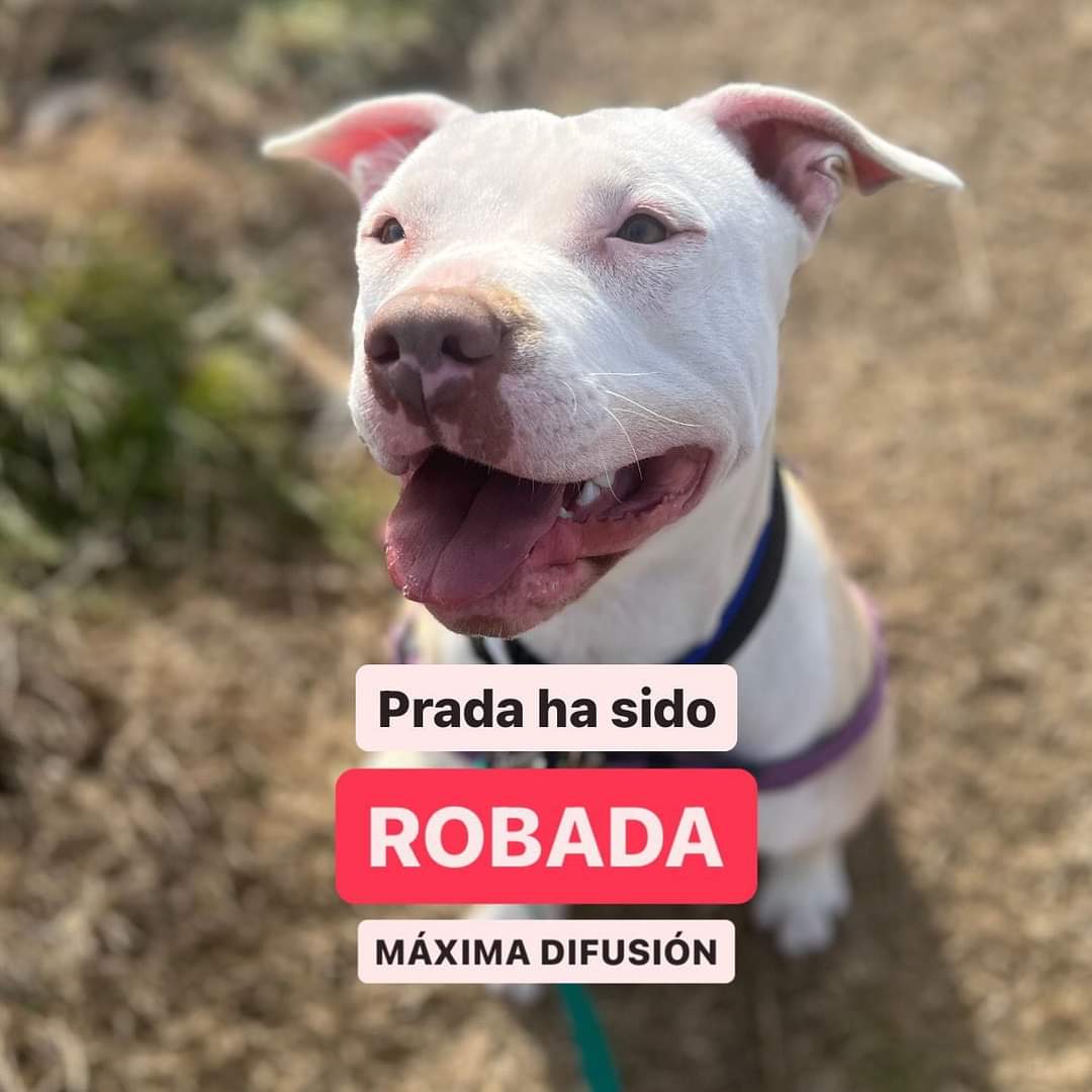 Foto cedida por Hoope