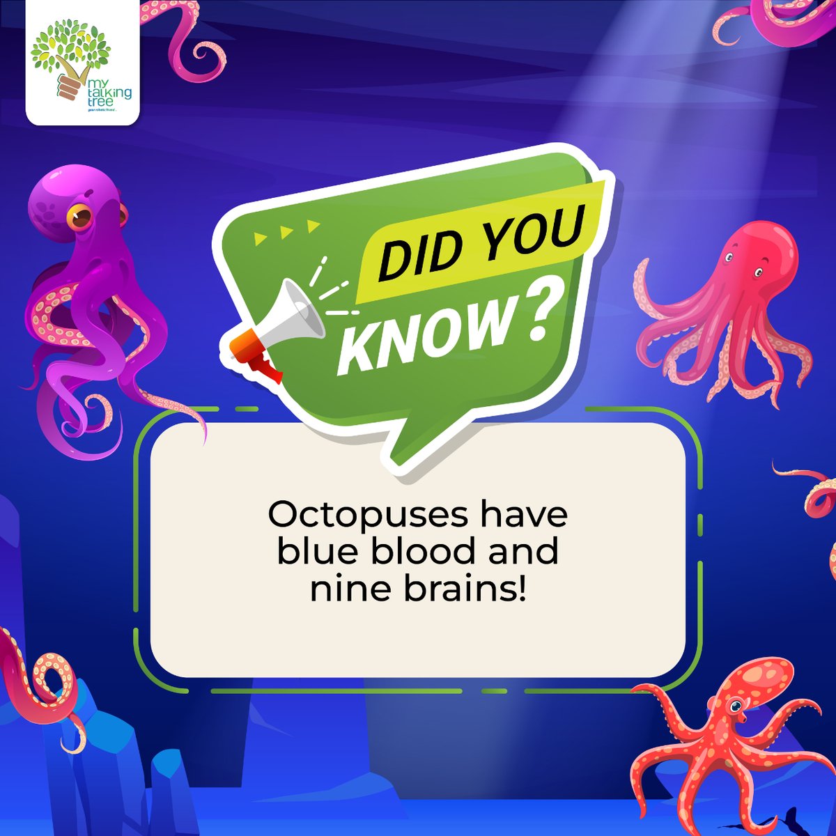 Octopuses are truly out-of-this-world creatures! Not only do they have blue blood, but they also have nine brains! Learn more with My Talking Tree.

#Mytalkingtree #DidYouKnow #FunFact #FactOfTheDay #KnowledgeIsPower #TrueStory #FactsMatter #mrdudu #robotic