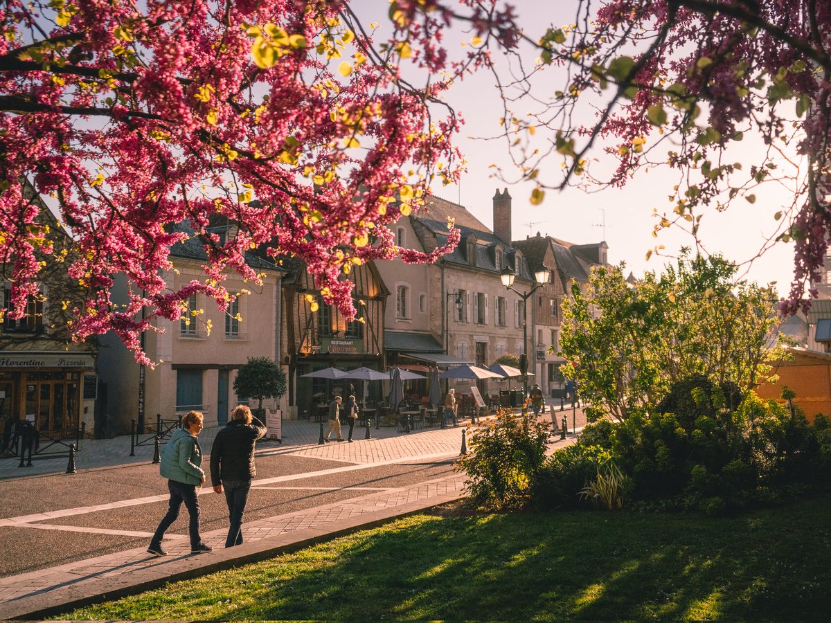 AdrienGQT's tweet photo. @frenchvisuals Les fleurs et le soleil 💐 https://t.co/TIsW9FeE14