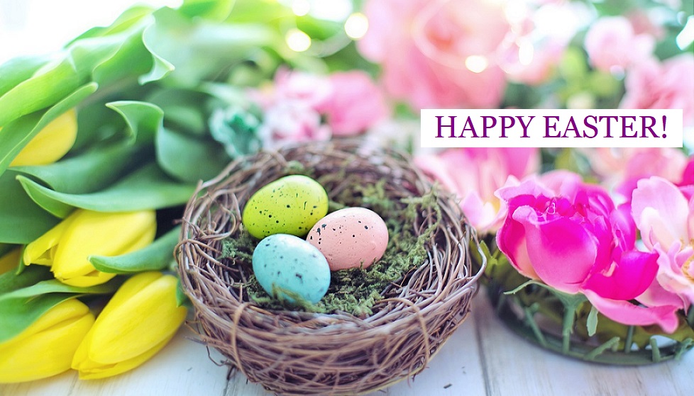 AromatherapyTod's tweet photo. Happy Easter!:)
15% OFF All Aromatherapy Today.
Use Code: Easter15 @ https://t.co/MhfJUncmHv https://t.co/3cXivLiiLS