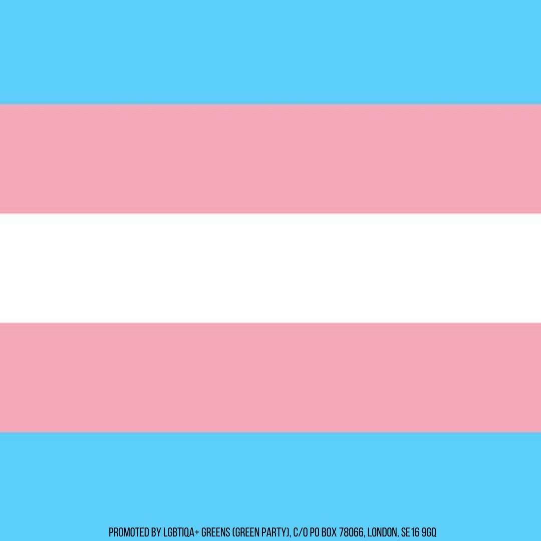 #TransDayOfVisibility #TransRightsAreHumanRights