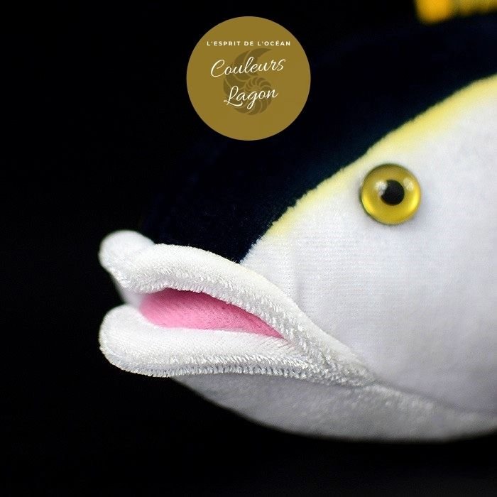 🐠 Jouet Peluche Réaliste Thon Jaune 40cm 16in
🎁 49.5 EUR ❤️🕉
bit.ly/3qYd4JF
#artisanat #passionmarine #enpeluche #faunemarine #dauphin #instaplushies #orque #decouvertemarine #baby #fandeviemarine #creationpourbebe #liondemer #amourdesoceans #nautile #poulpe #boule...