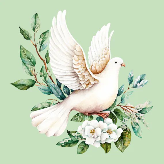 From us at @WHO_Europe an #Easter wish for peace across our Region and our 🌍. An enduring ceasefire and unfettered humanitarian aid for #Gaza. The return of all hostages taken from #Israel. An end to conflict in Eastern Europe. Peace - truly the best medicine of all. 🕊️
