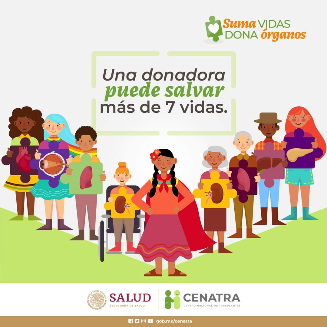 CoordHospDon's tweet photo. Si deseas ser donante de órganos puedes registrarte en https://t.co/sEcL2OEX1T 
No olvides platicarlo con tu familia. 
#RegalaVida #HGZ33 #IMSSNayarit #DonaÓrganos #SeUnHeroe #donarsalvavidas💗 #TecatePalNorte https://t.co/xMYHj9GIpp