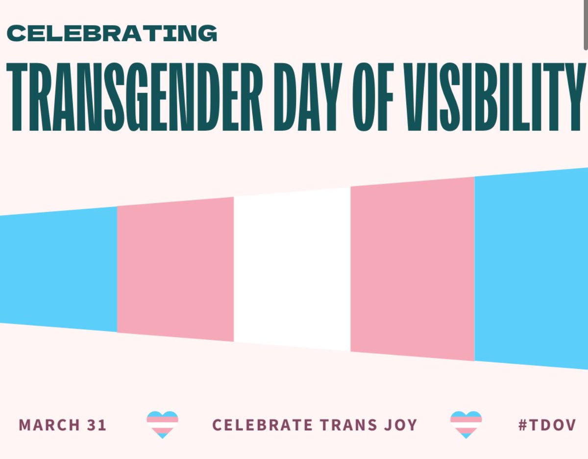 Today is international transgender day of visibility. 🏳️‍⚧️🏳️‍⚧️🏳️‍⚧️🏳️‍⚧️🏳️‍⚧️