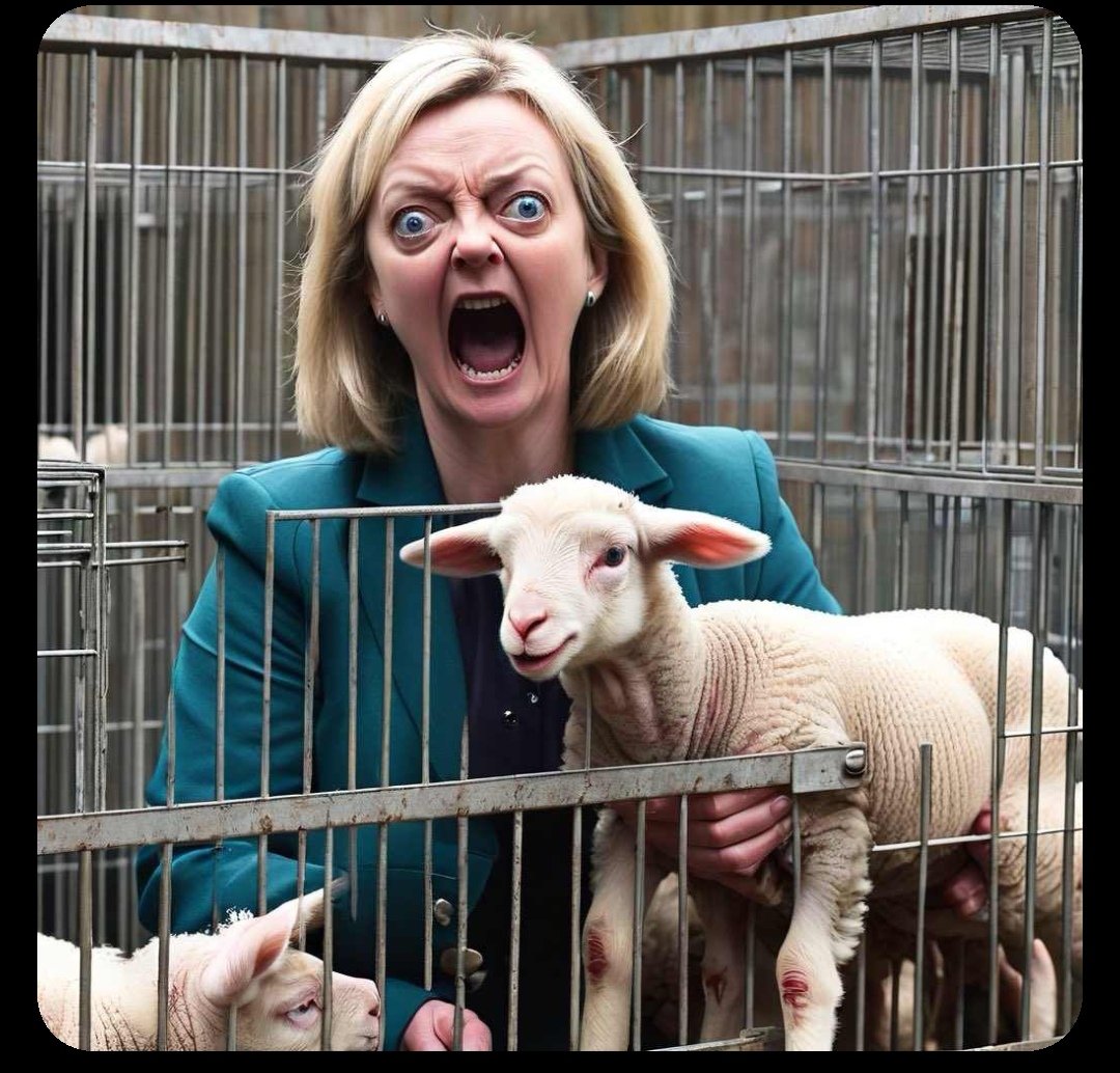 Skip Hogan tweet media