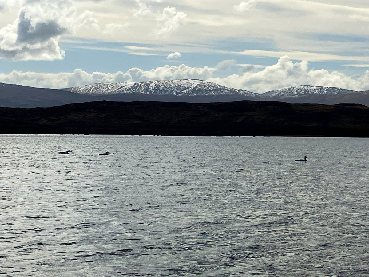 Mid-day, Easter Sunday. Black-throated divers and Schiehallion (way) in the background. Spoiled. #Scotland