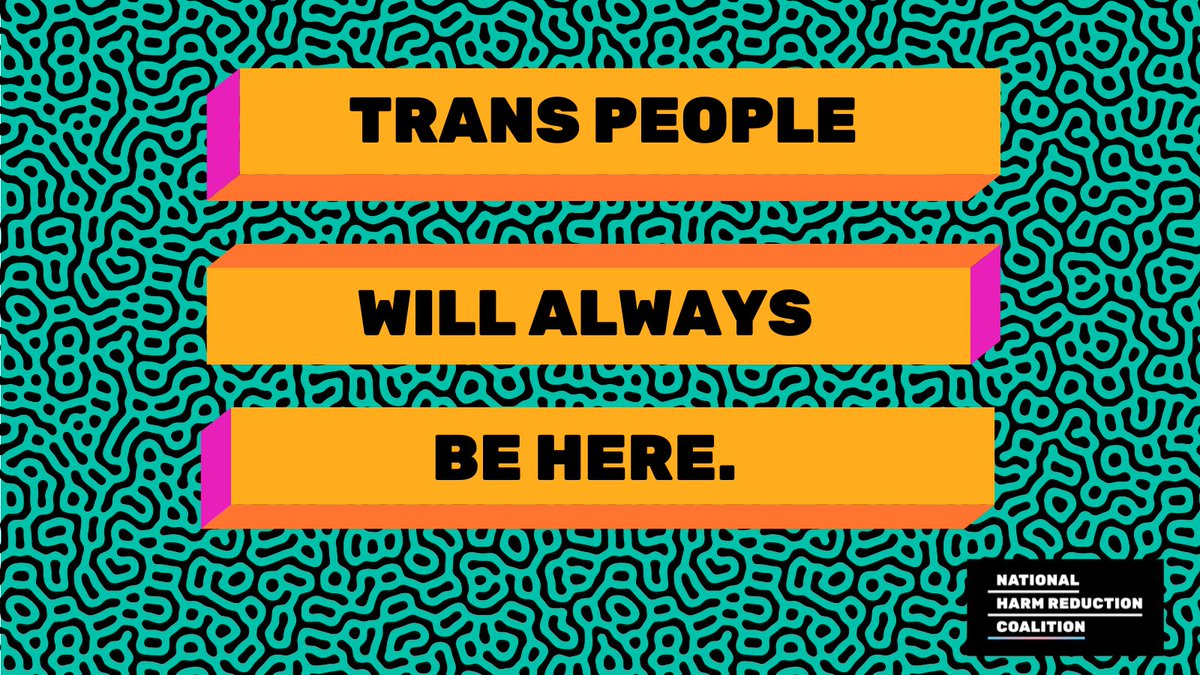 🧵As we honor & uplift the beauty & joy of trans people this #TransDayofVisibility, we must commit to collectively transforming our world so trans people can live their lives free from violence, harassment, & fear—a world where trans people aren't forced to be resilient, & can...