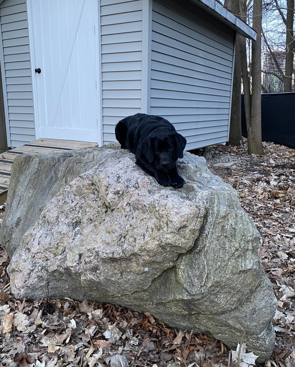 I’m practicing rock climbing this morning. What are you up to?