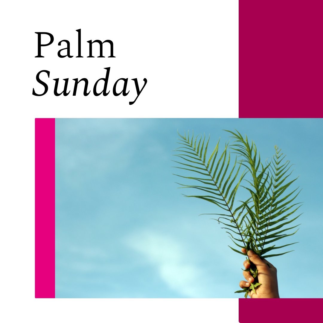 uniofgalway's tweet image. We wish our #UniversityOfGalway community a peaceful and reflective Palm Sunday.

May this day bring hope and renewal to all who celebrate.

#ForYouForTomorrow #PalmSunday