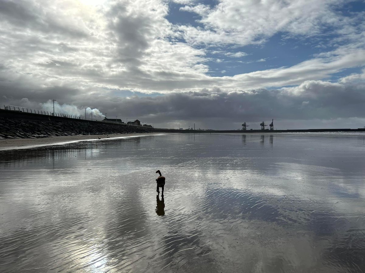 spgalea's tweet photo. Spring at last! 🙌
Early morning beach🌊 (ball chase🎾) walkies🐾 on #StudySaturday👩💻 with my bestie, #DigbyDog🐶
#Cymru #Wales🏴 https://t.co/SUegzI259d