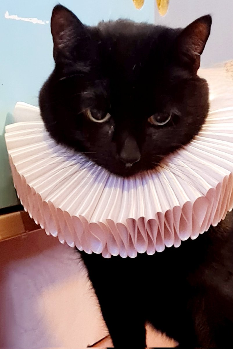 shakespeareina1's tweet image. Prince of Cats 
Romeo and Juliet 2.4
#ShakespeareSunday
#Felines
#cats