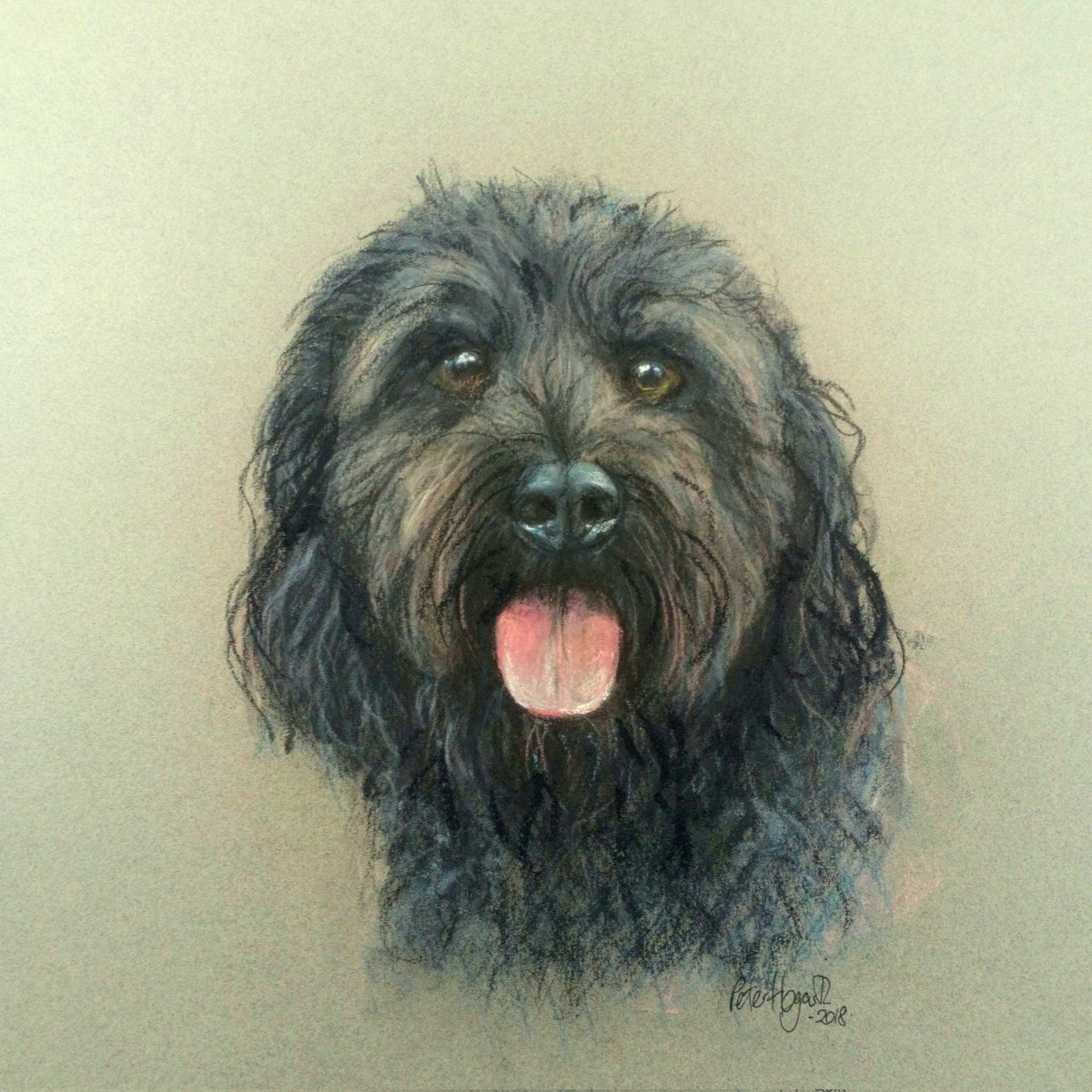 A happy face to bring you Sunday greetings! I was commissioned to portray this delightful dog in 2018. -soft pastels on Canson Mi Teintes paper 😊