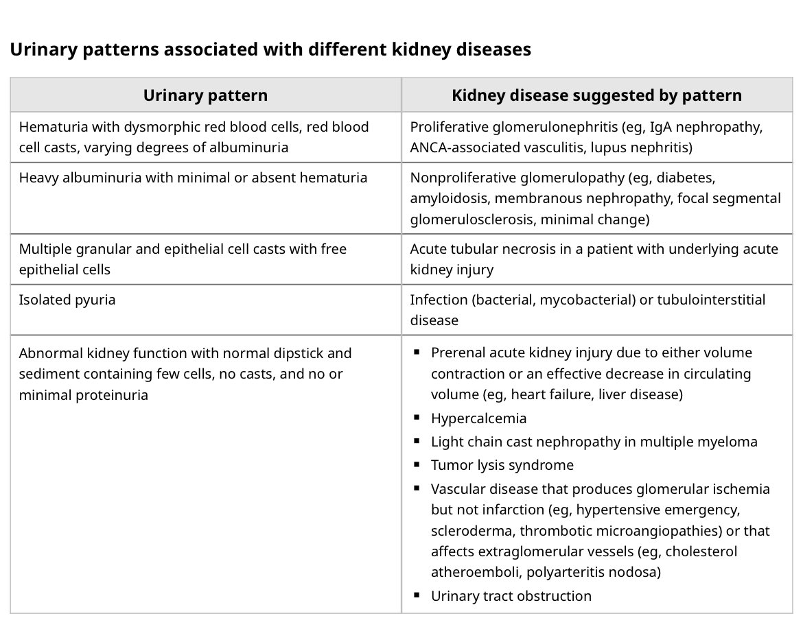 🚽🙄Urine exam patters and kidney 🫘🫘

✅Hematuria +dysmorphic RBC/RBC casts- Proliferative glomerulonephritis

✅Heavy albuminuria without hematuria-Non proliferative GN- Podocytopathy/Amyloid/MGN

✅Isolated pyuria-Think of infection

✅Creatinine is 🆙but urine exam is