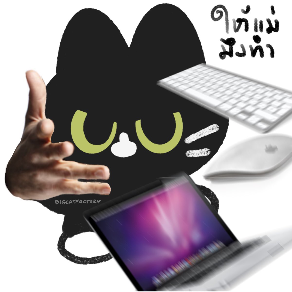 bigcatfactory's tweet photo. ใช้อุปกรณ์ไหนเลือกเลยค่ะ https://t.co/5Zx8vyRaJX