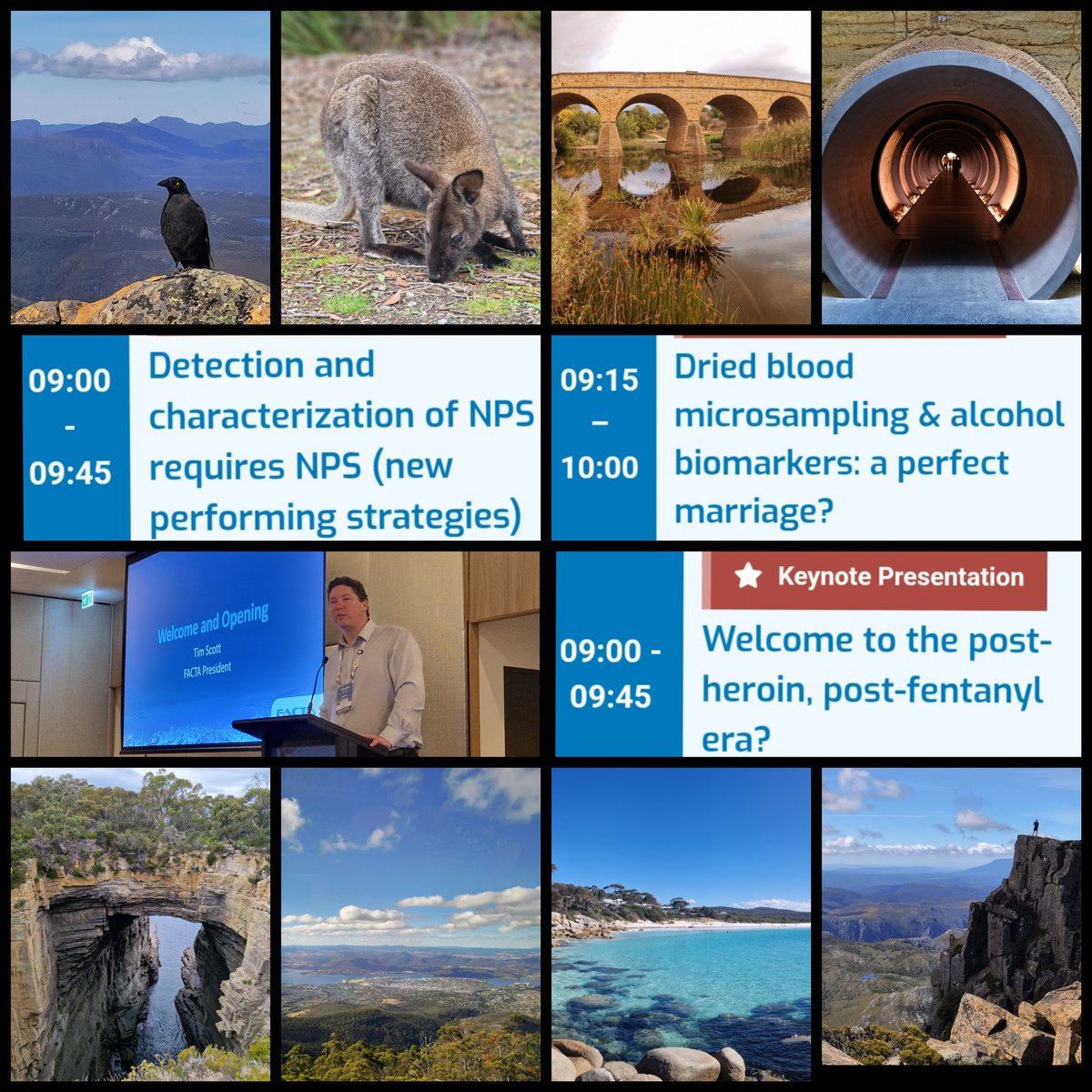 Christophe Stove tweet media