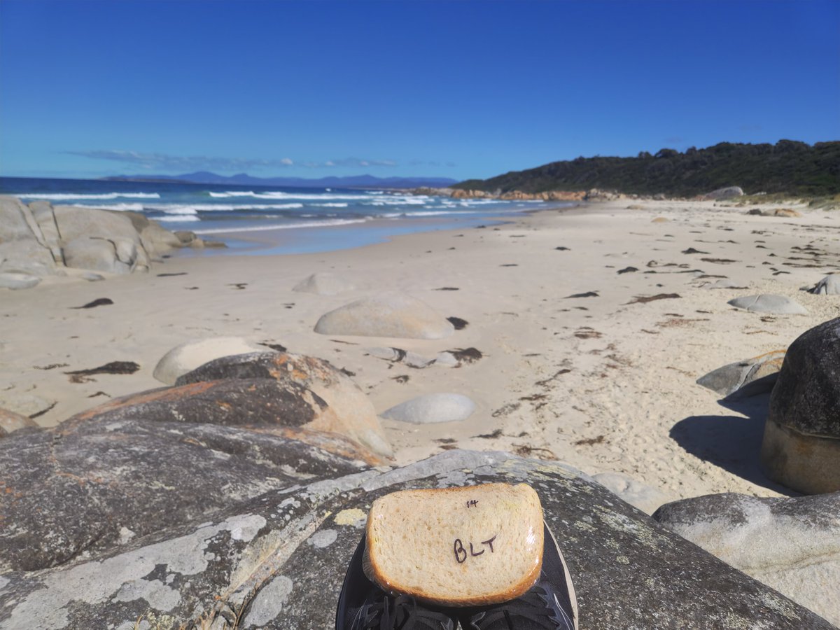 Christophe Stove tweet media