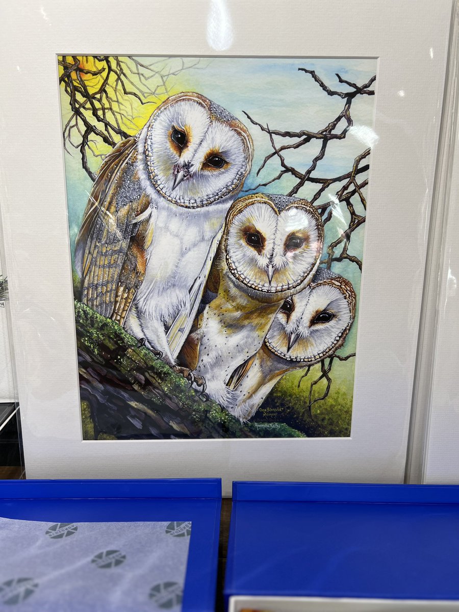 _Mithraic's tweet photo. More owls 🦉 🧡
#roadTrip
#syncronicities
#ufoX #ufotwitter #ufotwitterweek https://t.co/D4QYhej17l