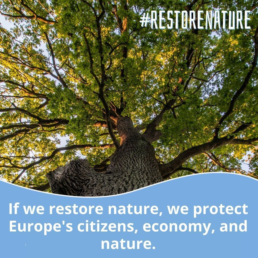 Nature is our best insurance against floods, droughts, wildfires & heatwaves💧 The upcoming #RestoreNature Law will strengthen our rivers, forests or marine habitats to protect us from climate change 🔥 Over 1 million citizens urge @EUCouncil to support the agreement!