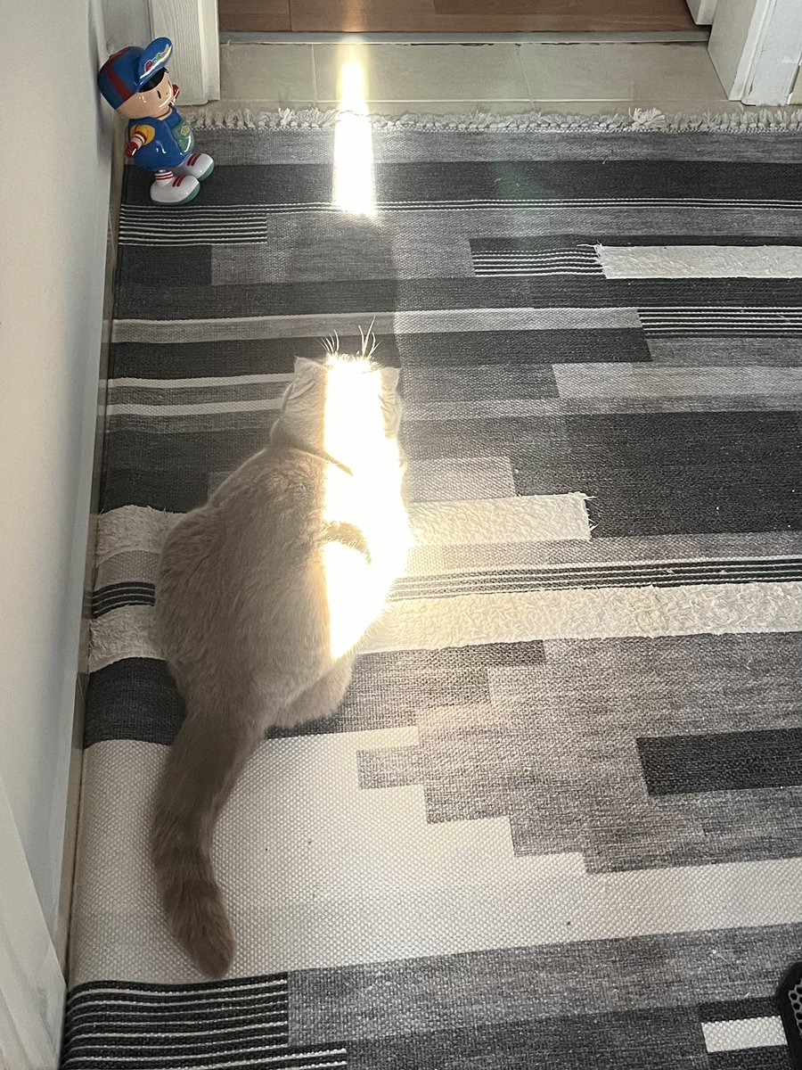 Bir kısmımla güneşlenmişdim