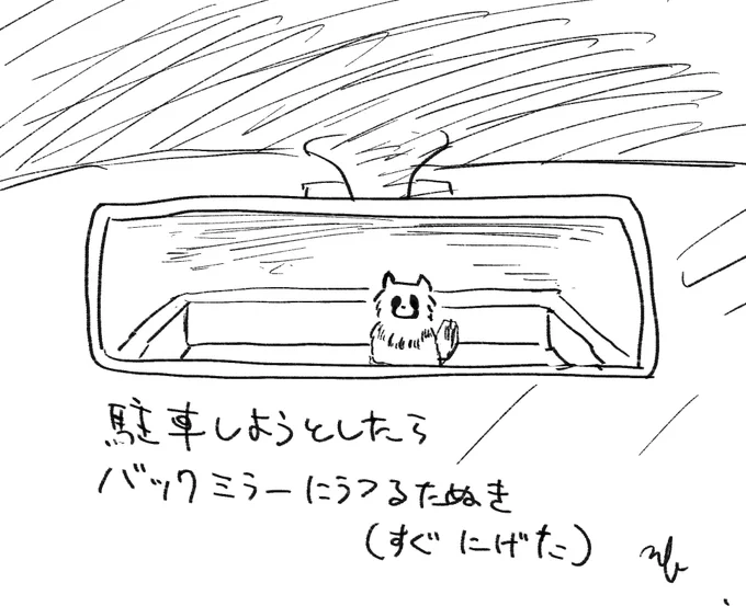 #たぬきエピソード 