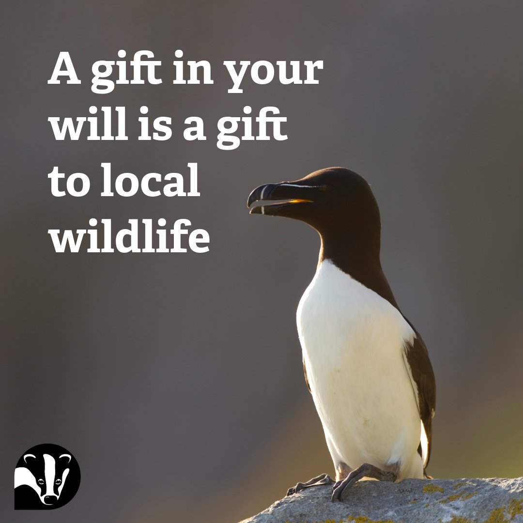 There's only one week left to claim your free will. Just a 1% gift in your will to your local wildlife trust will protect the wildlife and wild places you love. 👉Find out more: welshwildlife.org/gift-in-will/w… 📸Peter Cairns/2020VISION