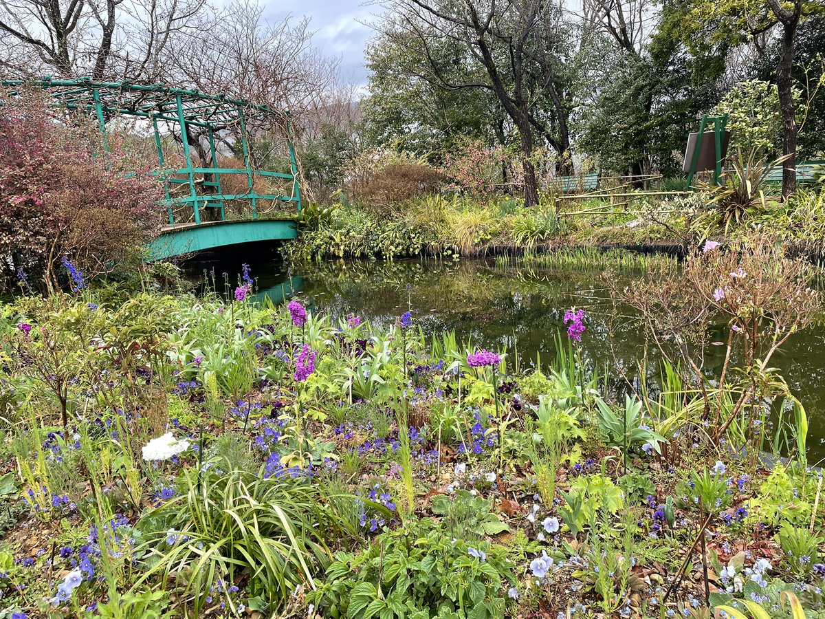 akiko__m's tweet photo. 高知県　モネの庭素敵すぎでした https://t.co/MBvqXFfdLA