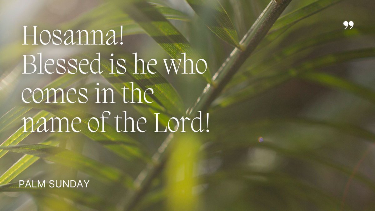 We begin our #HolyWeek journey today by reflecting on the crowds who welcomed Jesus into their city with shouts of joy. May we also welcome the King of Kings into our hearts this Holy Week. #palmsunday