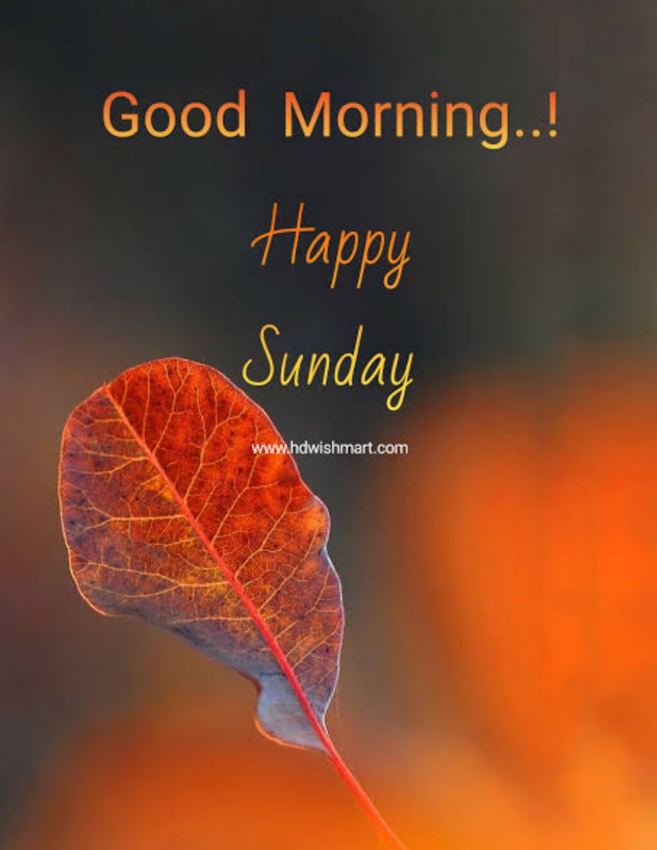Good Morning and Happy Sunday and Happy Holika Dahan everyone ❤️🙏 #happyholi2024 #KKRvSRH #Holi #HoliCelebration