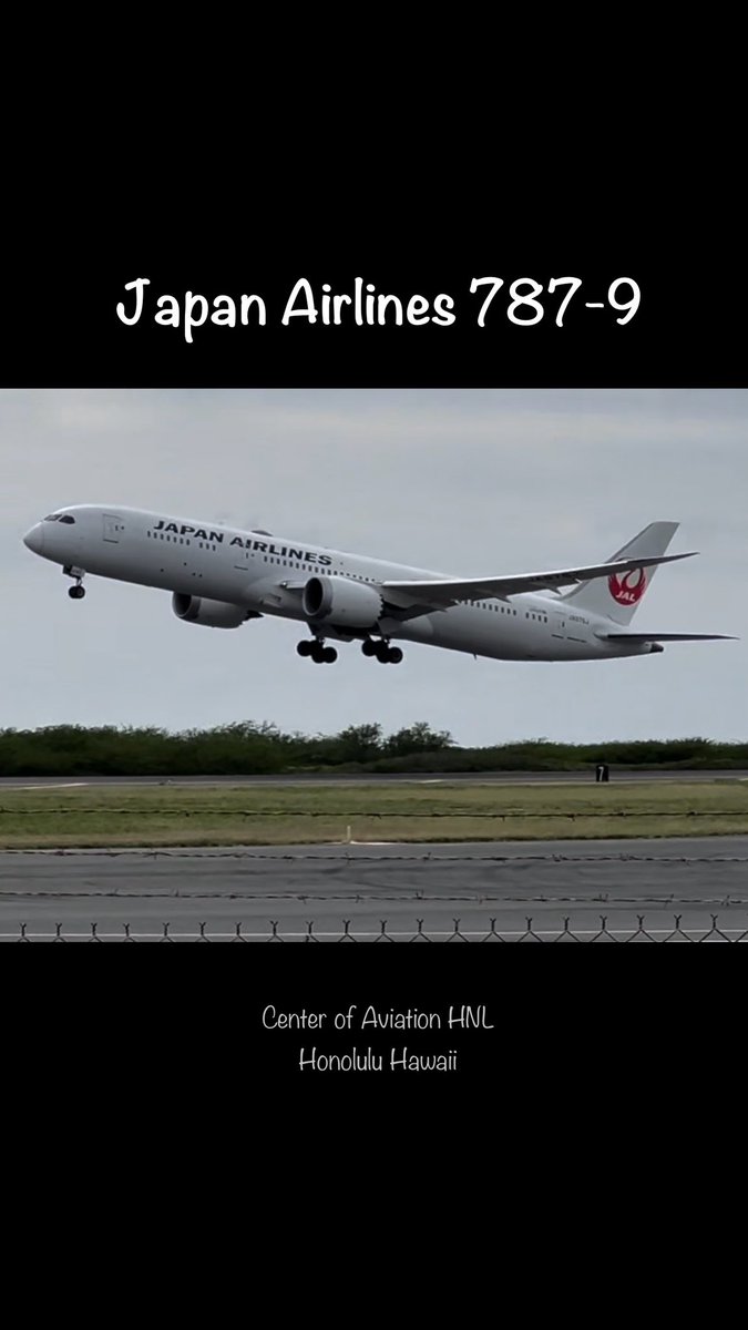Japan Airlines Boeing 787-9 Takeoff - HNL Honolulu Hawaii youtube.com/shorts/cAWv1-k… #centerofaviation #avgeek #aviation #avgeeks #aviationphotography #planespotting #planes #planespotter #aviationgeek #aviationlovers #b787 #boeing #Boeing787 #HNL #Honolulu #JapanAirlines #Tokyo