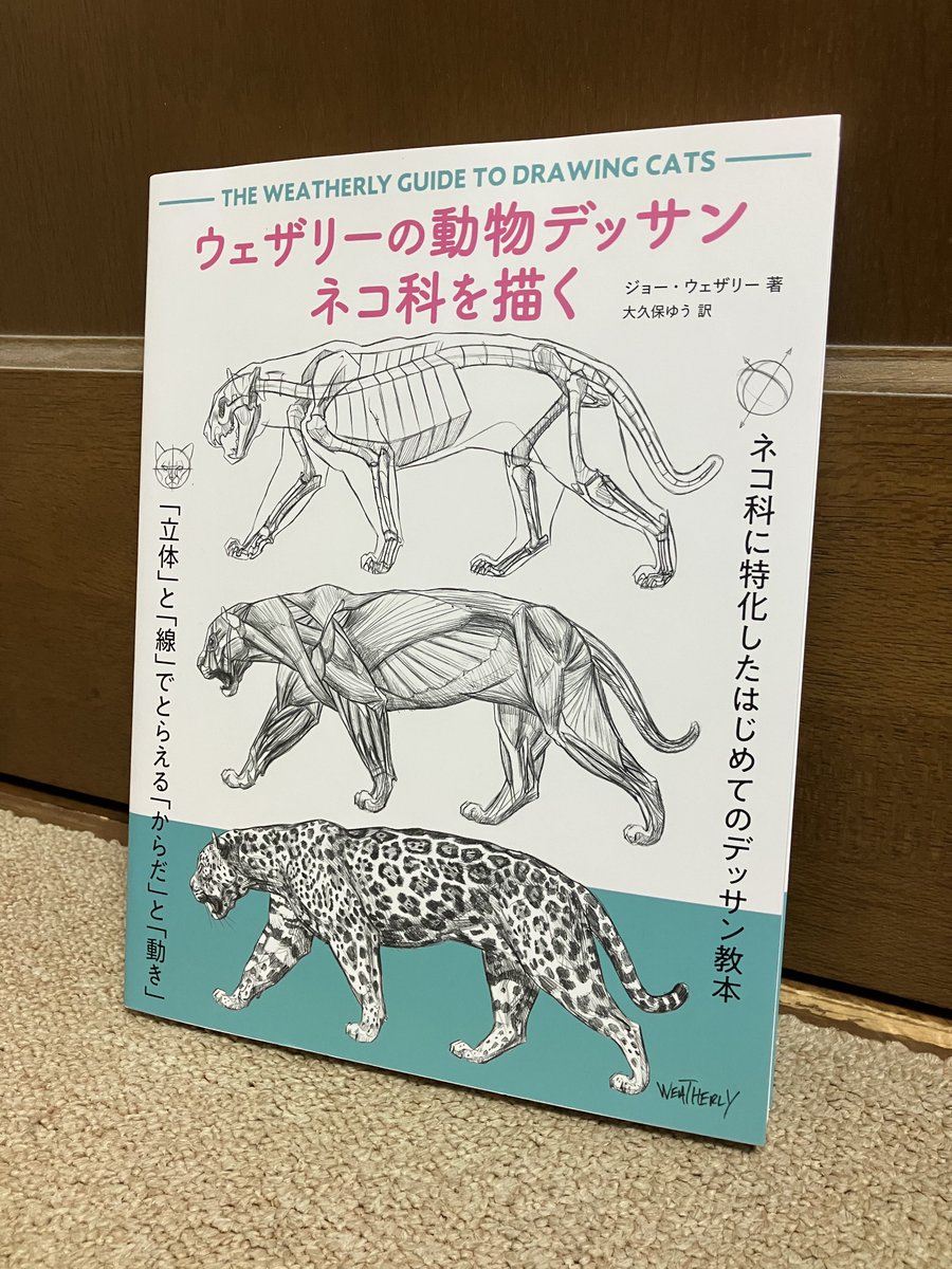 本屋寄ったら妥協無しのネコ科の描き方本があったので思わず買ってしまった。
いろんな種類の大型ネコとイエネコの描き分けから骨格、筋肉まで解説してある上に本当に最初から最後まで175ページネコ科なので、猫描きは買って損はないです。これはすごい… 