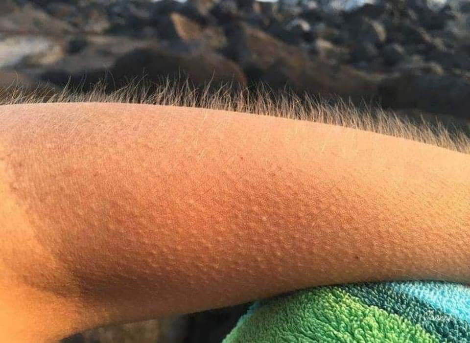 Cool_Ustaaz ☪ tweet media