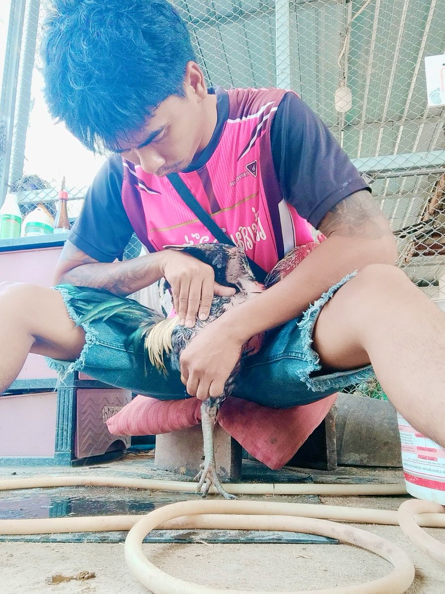 หัวใจมีสี่ห้อง ว่างทุกห้อง ว่างยันห้องนอนจะมาปะล่ะ🤪
#เด็กเลี้ยงไก่
#กำแพงเพชร