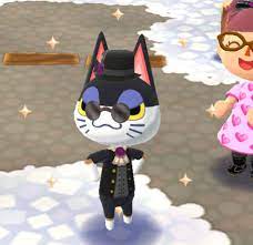 Cute Critter Of The Day tweet media