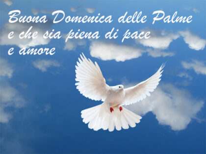 Buona domenica delle Palme amici 🌿🕊️☀️
#domenicadellepalme