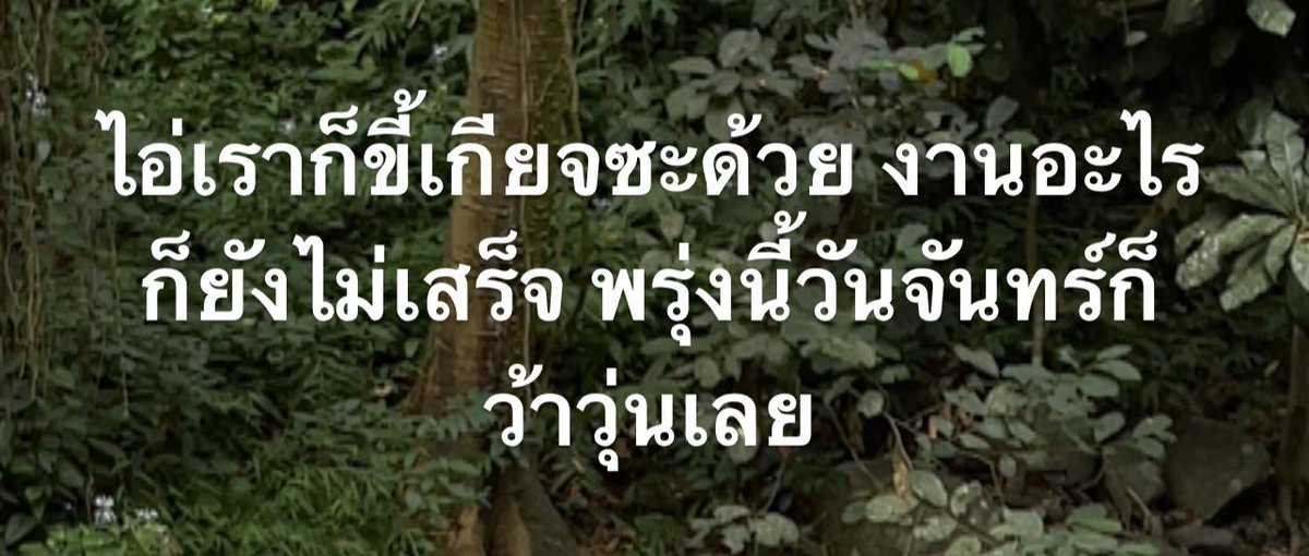 sfkkfs_'s tweet photo. รีวิวกูในวันอาทิตย์ : https://t.co/SnPA4X50Ja