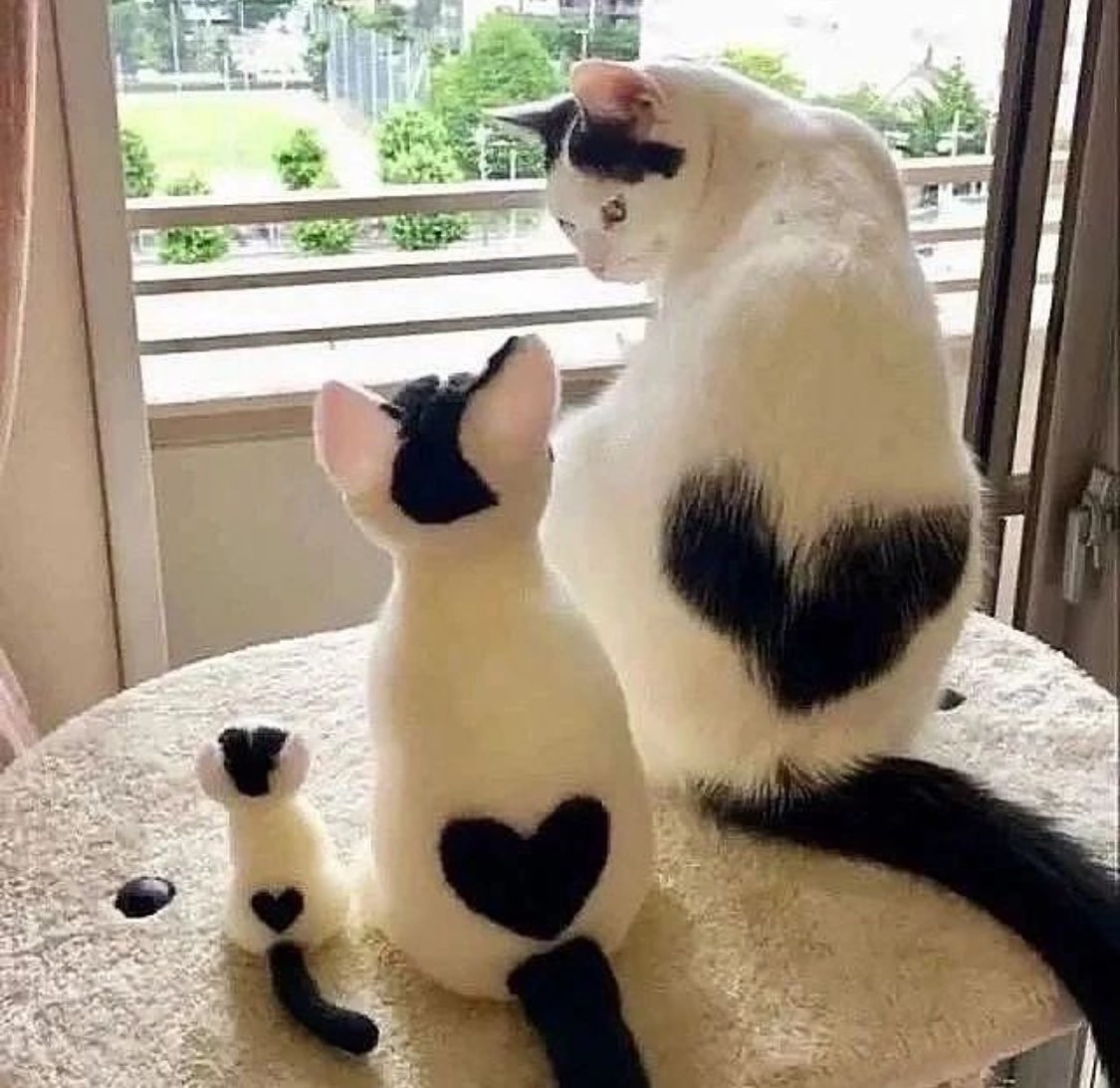 PunchingCat's tweet image. 