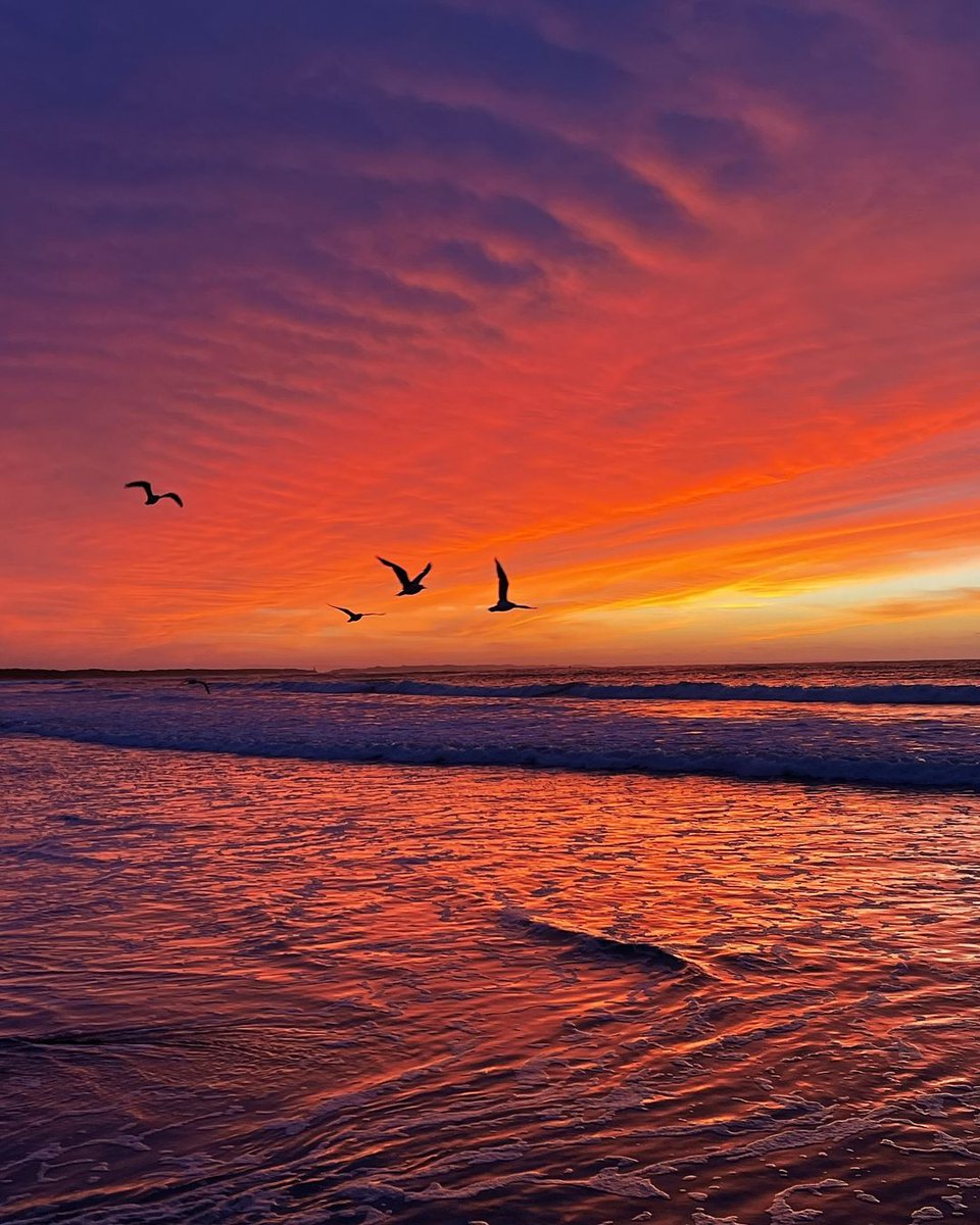 Spectacular colours over Ocean Grove 🌅 📍 Ocean Grove, @GeelongBella, on lands of Wadawurrung people 📸 via IG/oconnorn