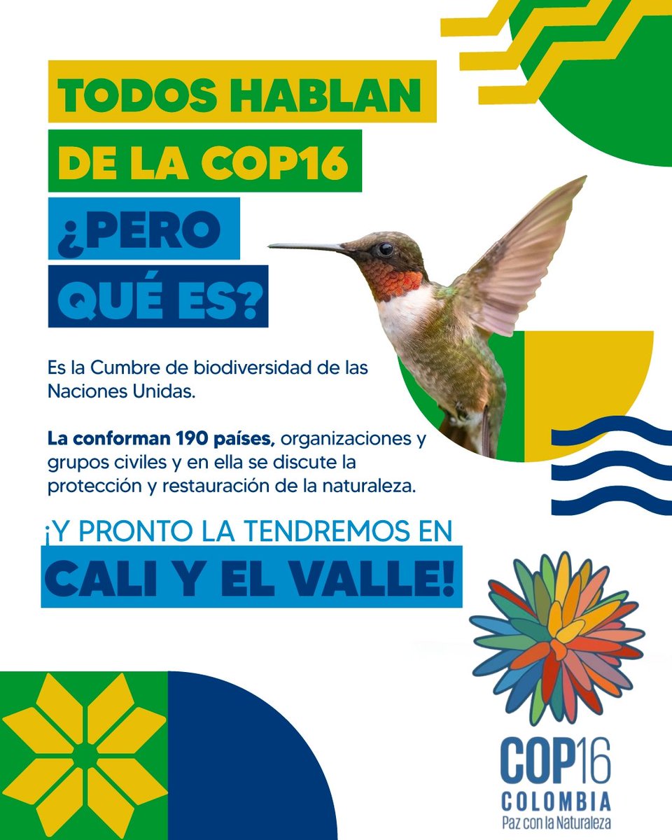 ¡Que la COP16 se haya quedado en Cali y el Valle es propósito que logramos unidos!

Sí aún no sabes qué se discute y por qué es tan importante esta Cumbre de Biodiversidad te lo contamos; y te unas tú también a este esfuerzo. #ElPaísDeLaBelleza #PazConLaNaturaleza