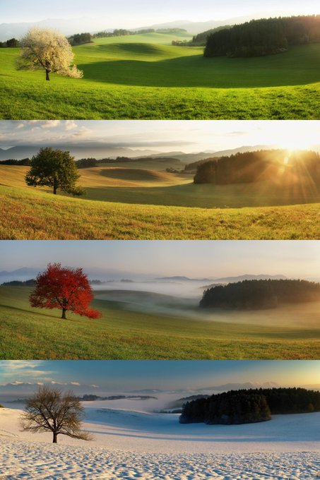 Four seasons in the same place taken by Jozef Morgos in Žabokreky, Slovakia.