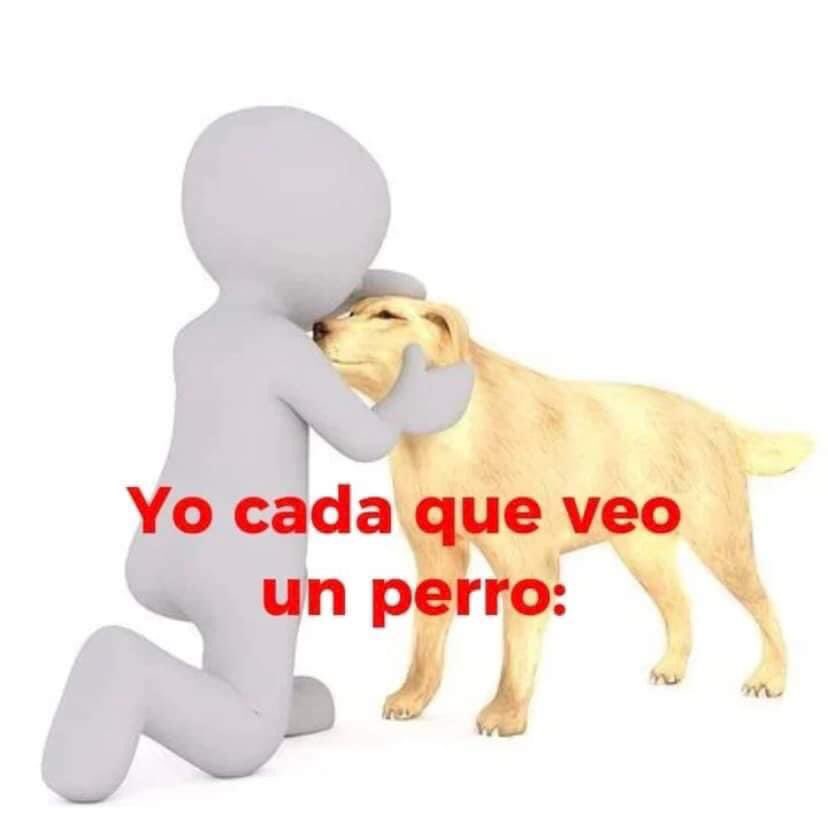 twaniimals's tweet image. 