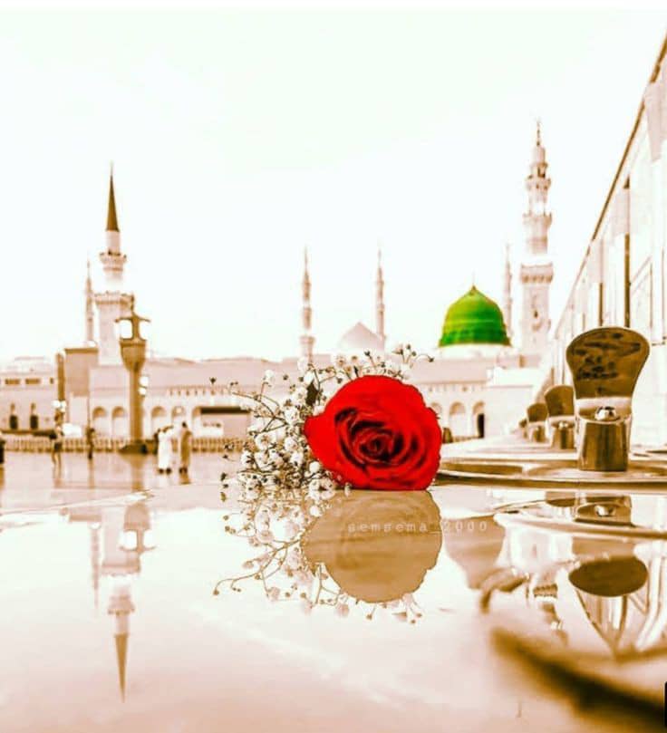 Safedbarfii's tweet photo. ✿Malika ~`tanha ...♥︎⋱⋰✰

💞یاالله ما اوزما ټول فالور په هغه 70 زرو ڪسانو کې حساب کړې چې بې حسابه او بی ڪتابه جنت ته ځي✔️

♡ 🤲آمــــیـــن ثم امـــیـــن🤲♡

@Dr__Malikooo https://t.co/wMi3HfKJ8l