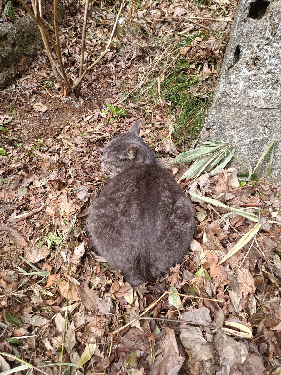 ドライブがてら県境まで来てみた