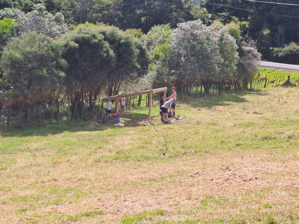 Youth in Transition tweet media