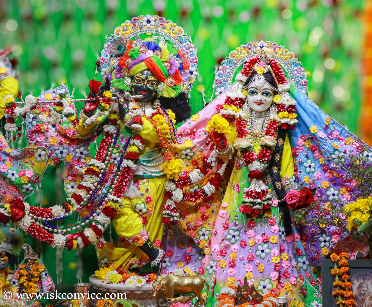 iskconvicc's tweet photo. Śrī Śrī Radha Gopal Darshan - 24/3/2024 @iskconvicc
#iskconvicc #iskconvaranasi #iskcondarshan #iskconworldwide #srisriradhagopal #holi2024 #sundayspecial #aajkedarshan #todaysdarshan #colourful #rangokiholi #phoolokiholi #brajkiholi #divinedarshan https://t.co/11NCcLxU8t