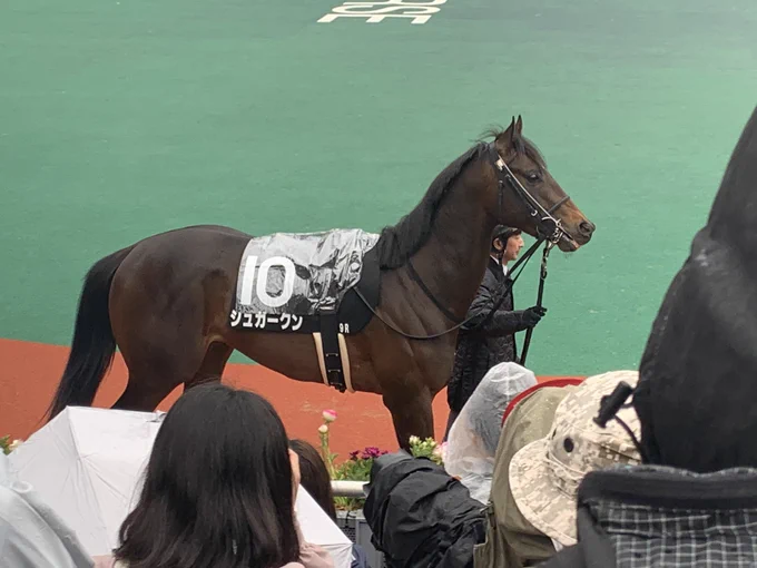 超模範的!!!!
凛々しいですよシュガークン!!!!! 