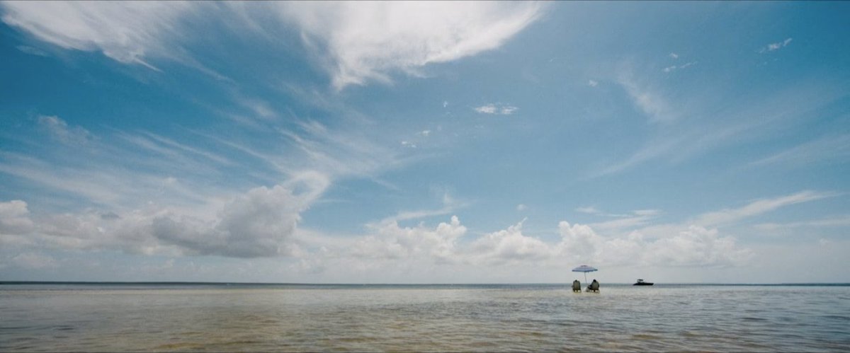 linsen's tweet image. 