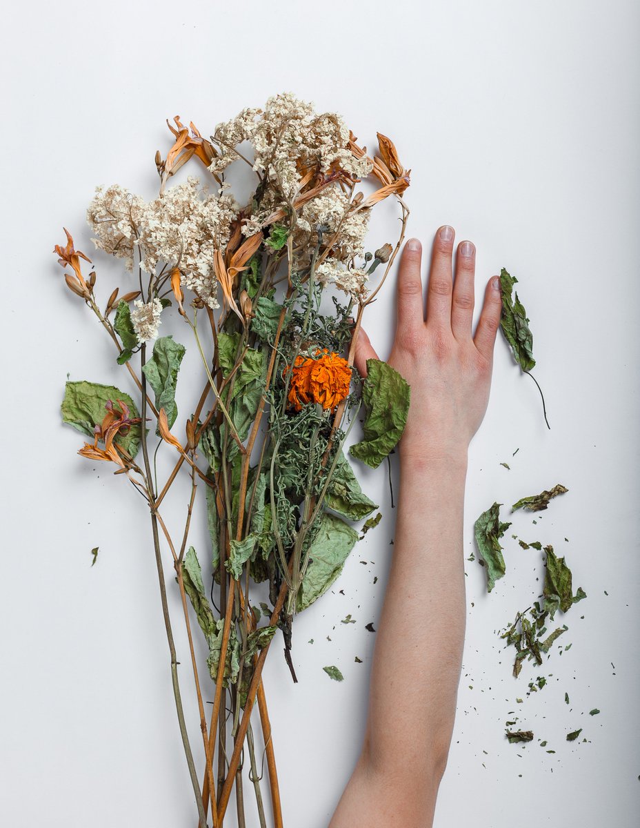 branbixby.eth tweet media